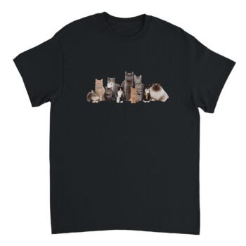 From Tshirt, Cat Tshirt, Jade's Cat Tshirt, Merch Dungeon