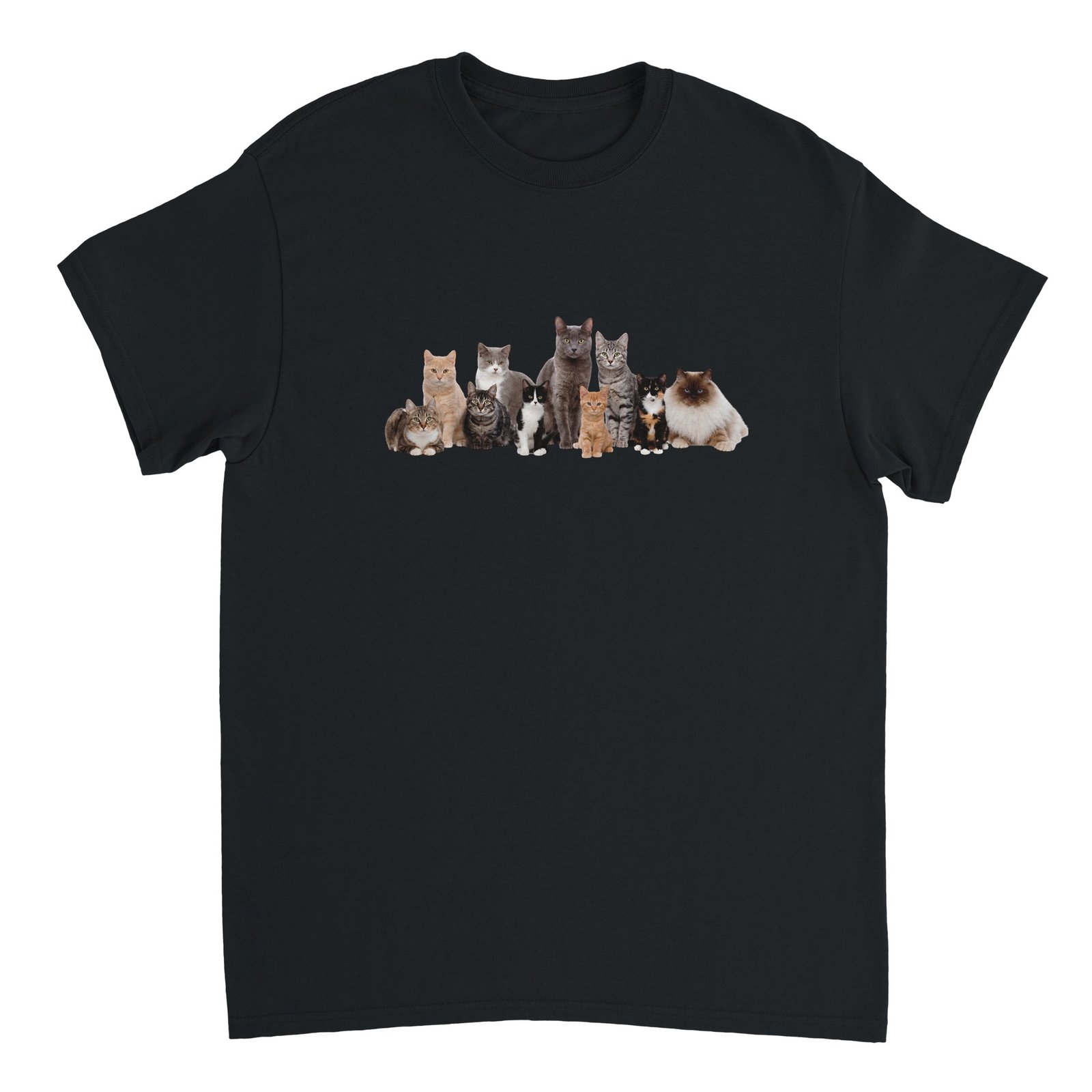 From Tshirt, Cat Tshirt, Jade's Cat Tshirt, Merch Dungeon