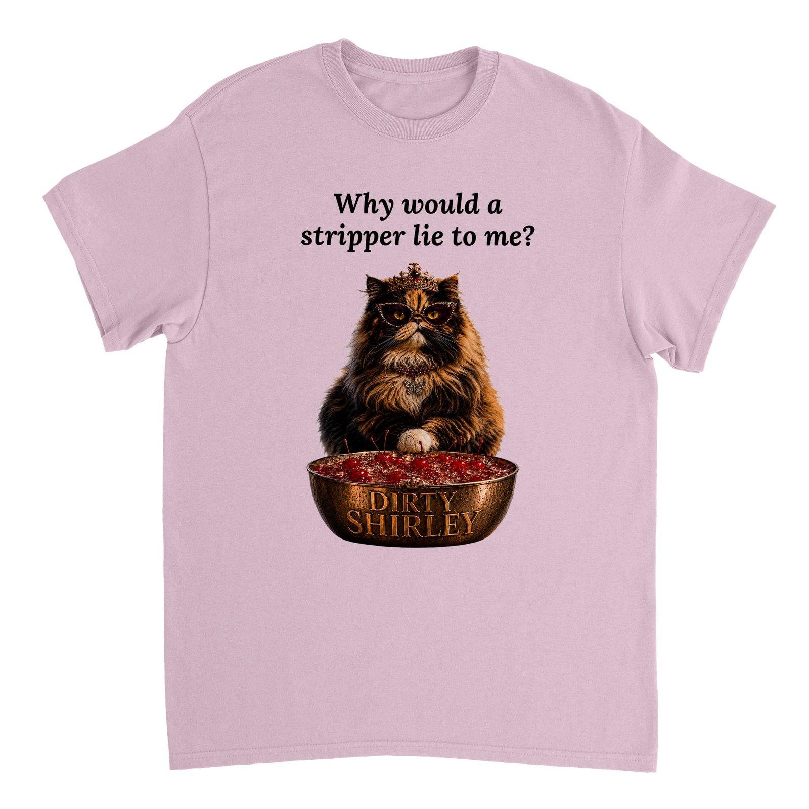 Why would a stripper... T-shirt Light Pink