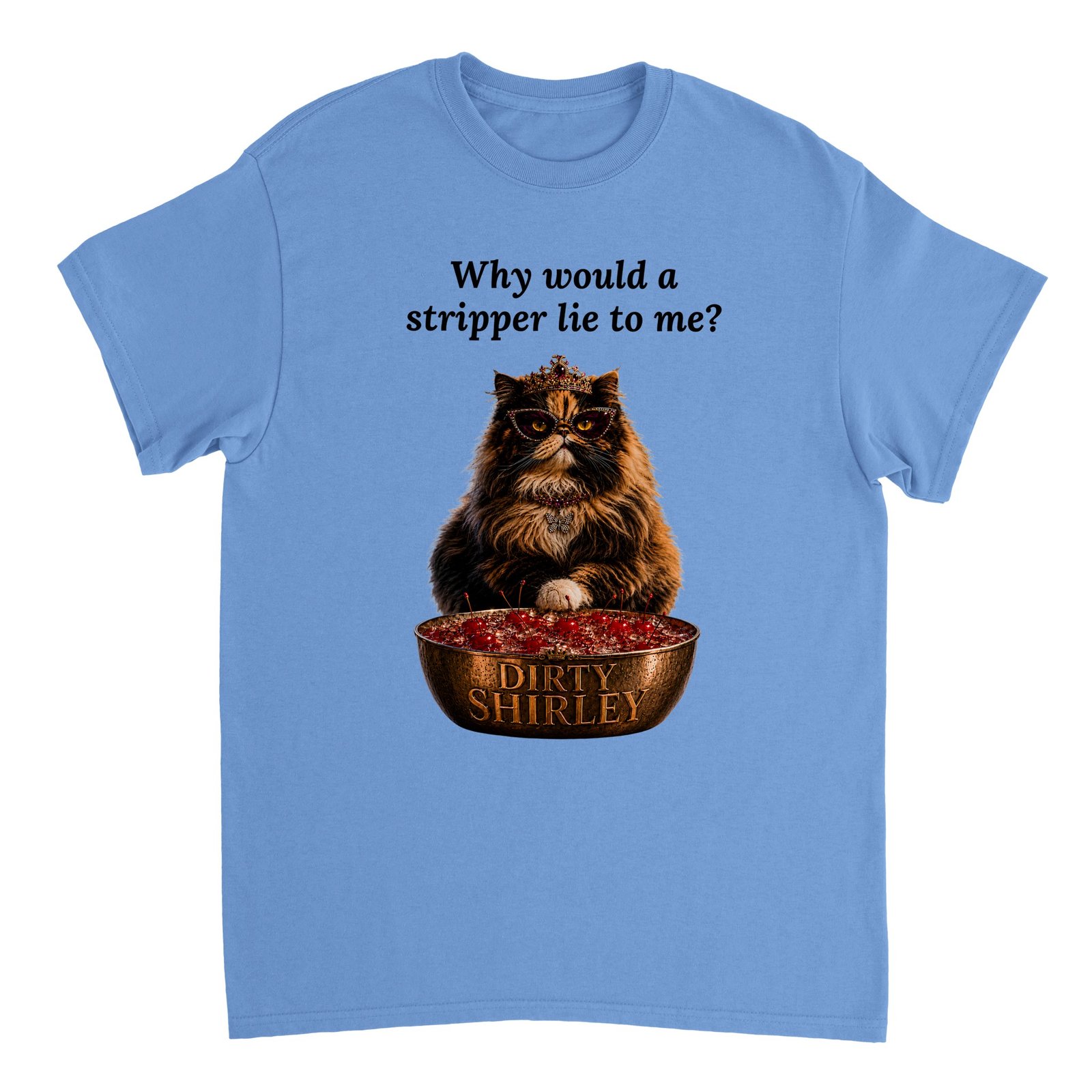 Why would a stripper... T-shirt Carolina Blue