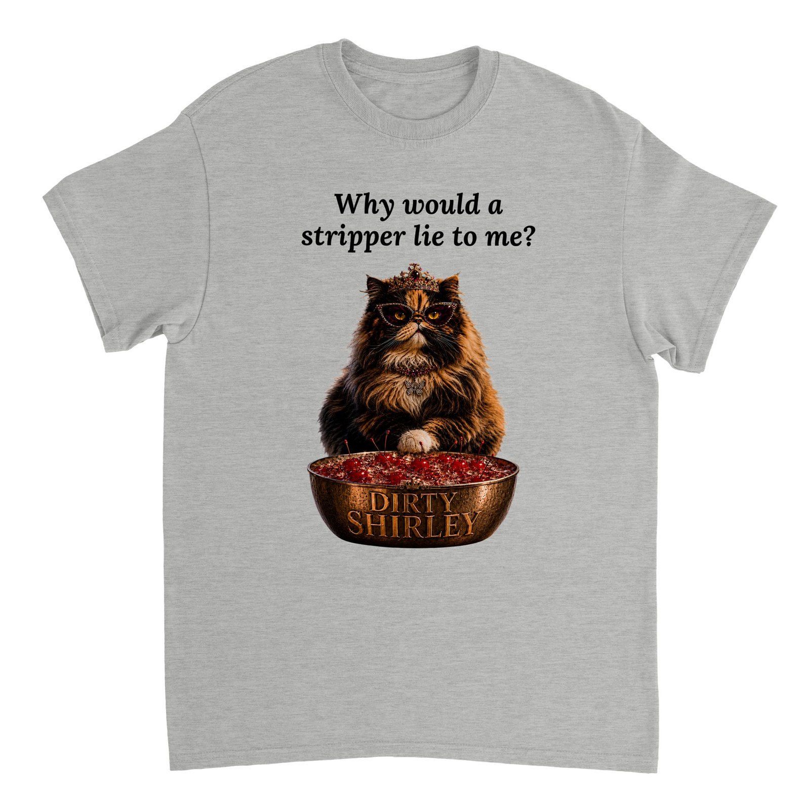 Why would a stripper... T-shirt Ash